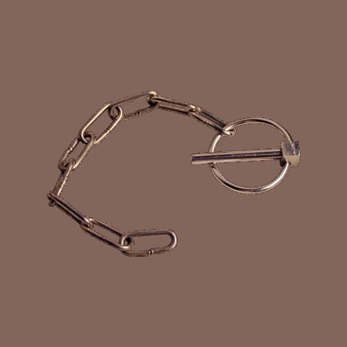 borgpen met ronde clip RVS Ø6mm