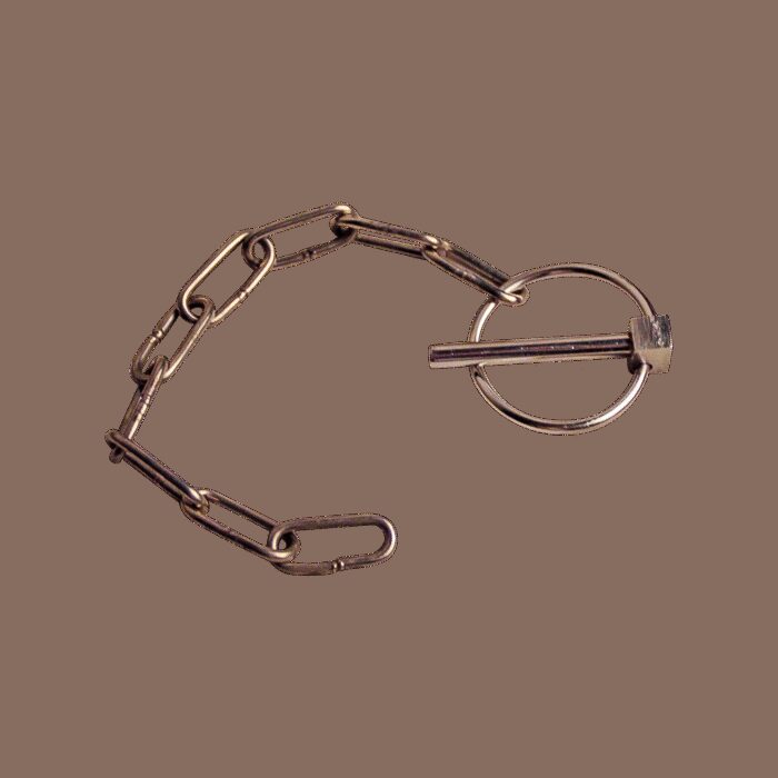 borgpen met ronde clip RVS Ø6mm